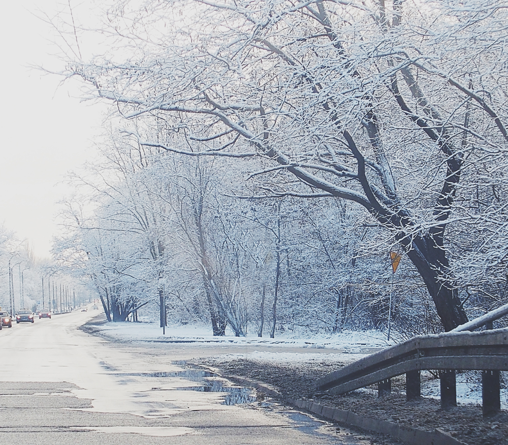 Wintery roadway picture