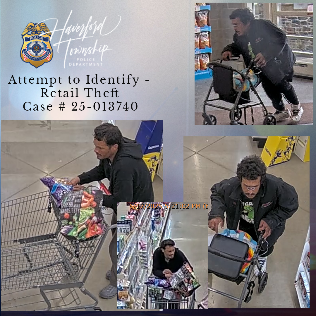 Giant Retail Theft - Case #25-013740